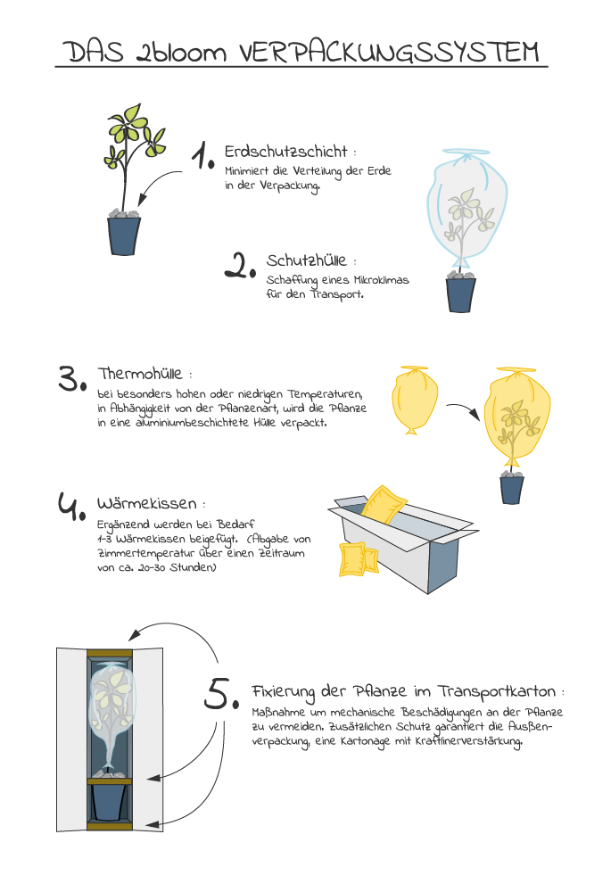 verpackungsgrafik